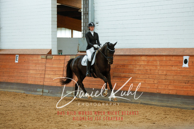 _62_5942 | Turniersportfotografie; Pferdefotografie; Dressurfotografie