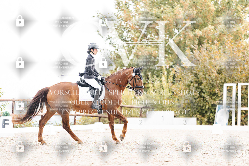 CK900771 | Turnierfotografie Pferdefotografie Trier Rheinland-Pfalz Pferdesport Reitsport Tierfotografie Sportfotografie Pferdevideo Pferdevideografie Equestrianvideography equestrianphotography  - Realisiert mit Pictrs.com