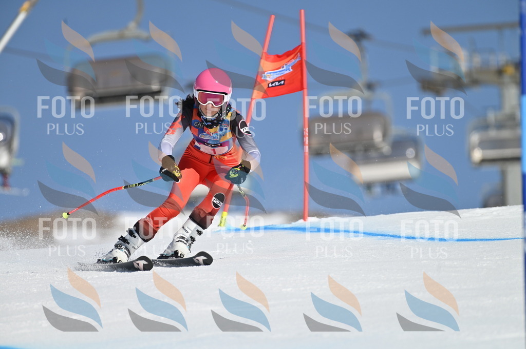 BGV_7577 | holidayphoto