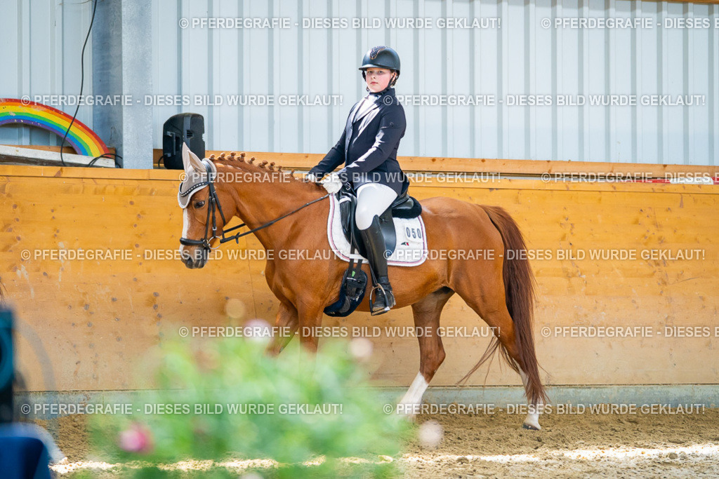 DSC08761 | Pferdegrafie