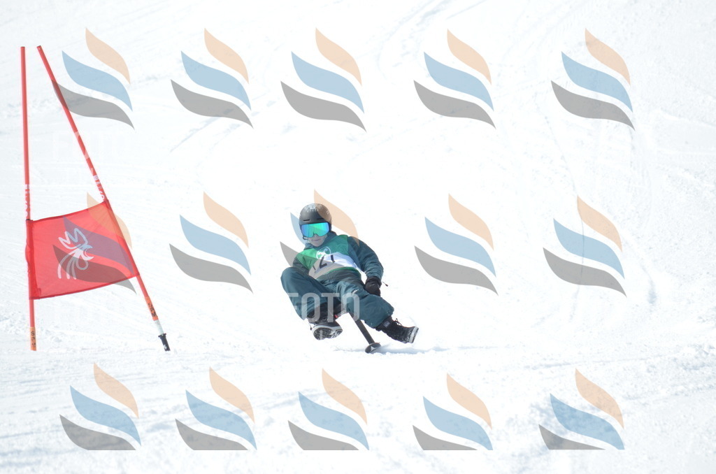 D9265 | holidayphoto