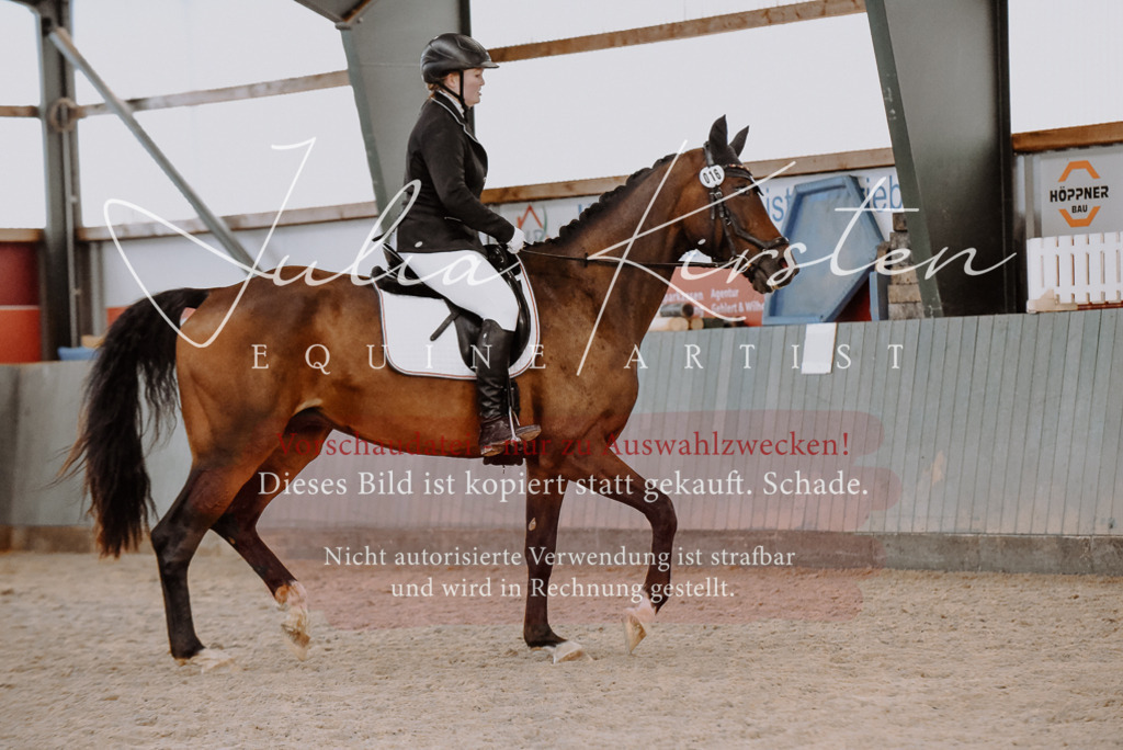 DSC_7529 | Pferde- und Turnierfotografie in Westsachsen. Pferdeportraits, Auftragszeichnungen und intuitive Kunst.