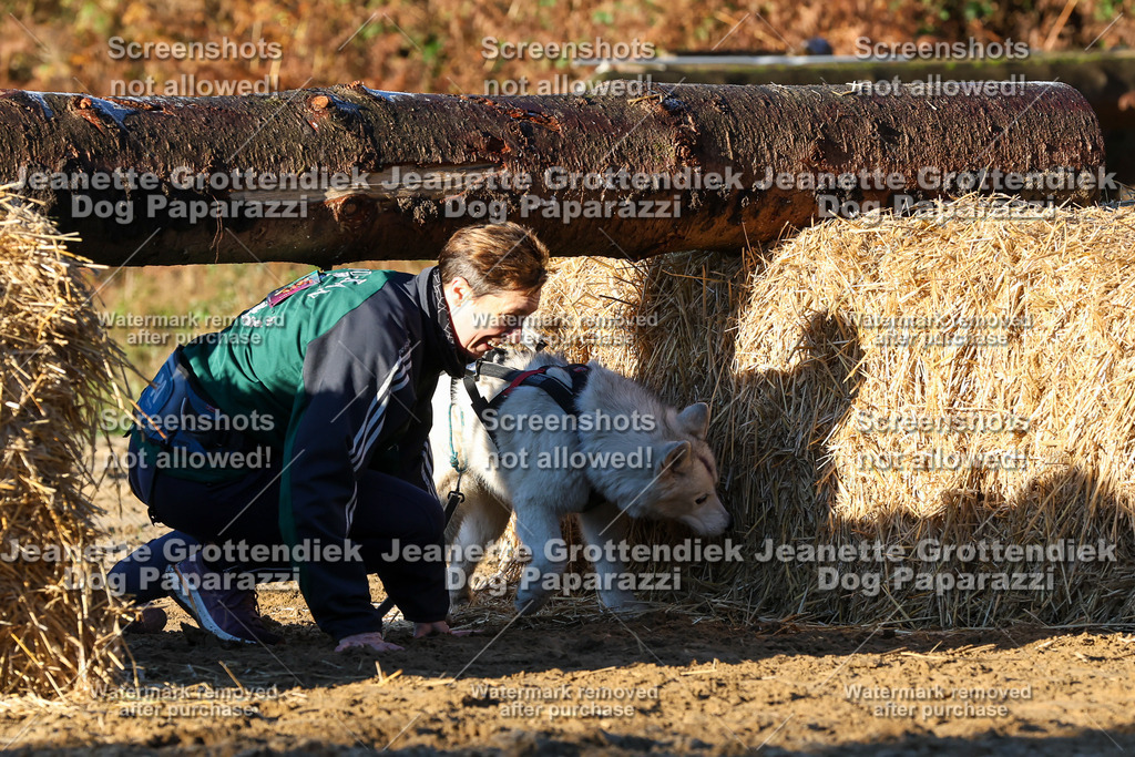Dog Paparazzi - Strongdog 10-25-935 | Dog Paparazzi Jeanette Grottendiek Fotografie & Videografie