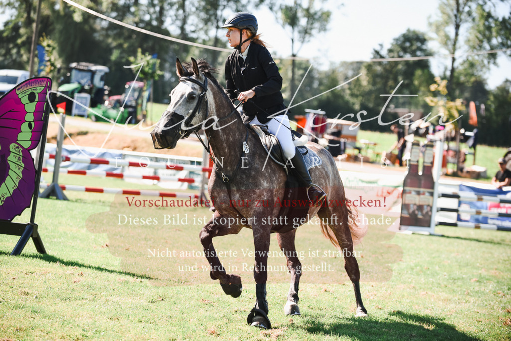 DSC_2562 | Pferde- und Turnierfotografie in Westsachsen. Pferdeportraits, Auftragszeichnungen und intuitive Kunst.