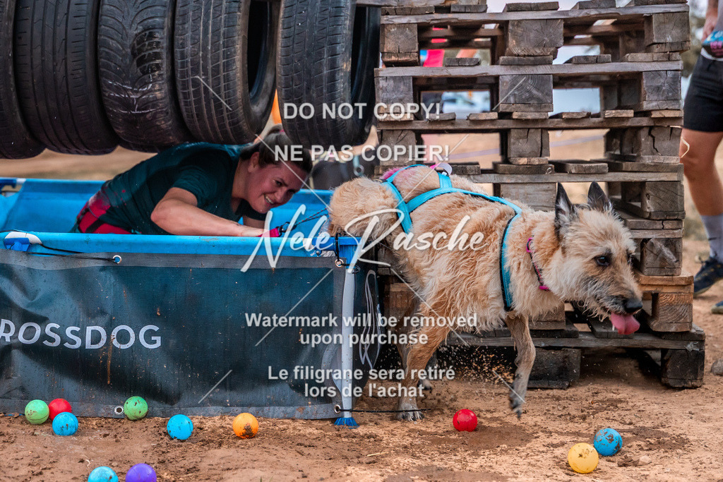 nelerasche_SummerNights26-Sa2000-2100_106 | nelerasche