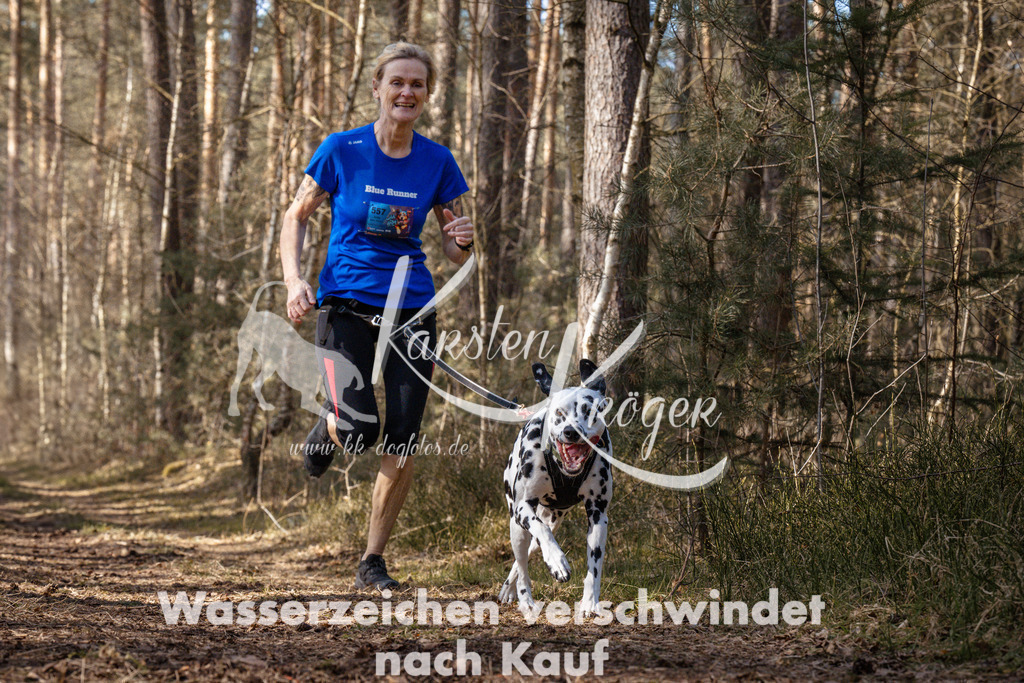 1331_ZZ94624 | kk-dogfotos