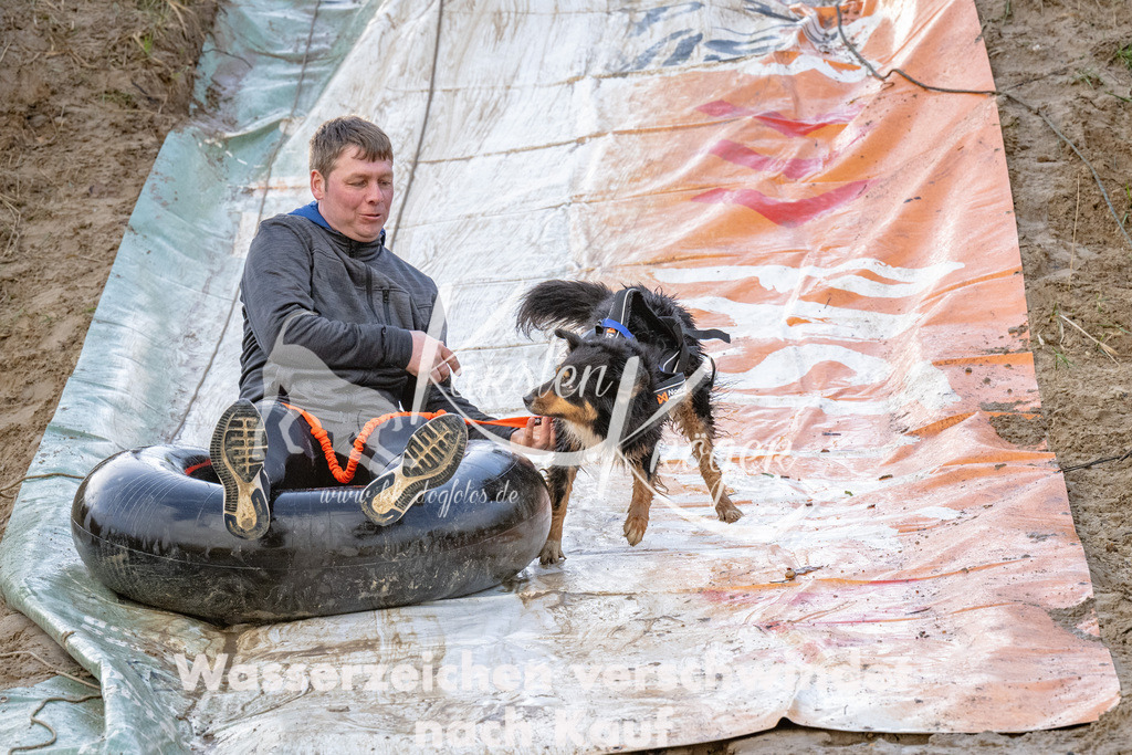 1707_ZZ91086 | kk-dogfotos