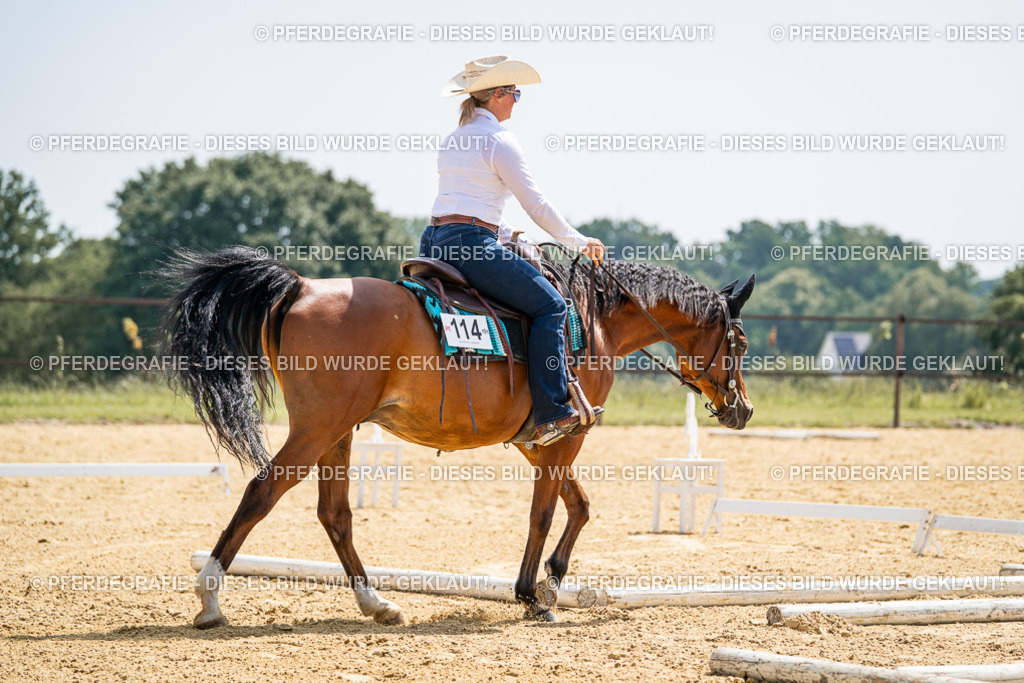 DSC00467 | Pferdegrafie