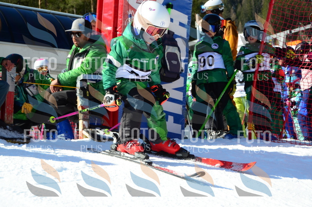 C4964 | holidayphoto