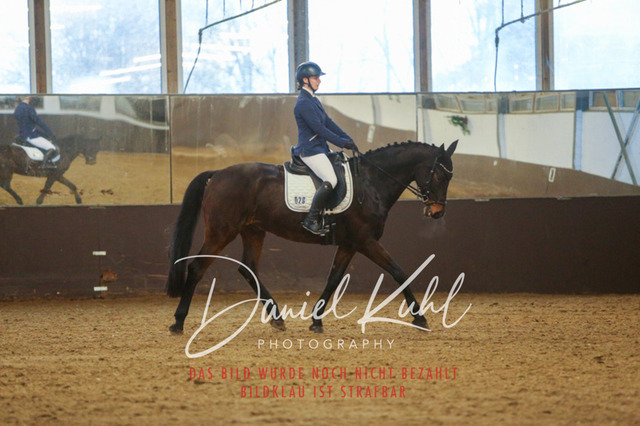 IMG_8125 | Turniersportfotografie; Pferdefotografie; Dressurfotografie