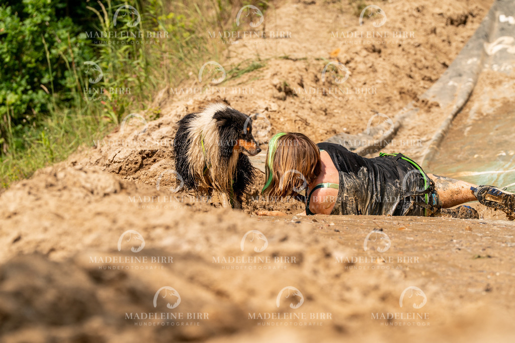 madeleinebirr.fotografie.2026.CC-hoope.samstag.14-55-56.281 | hundefotografie-birr