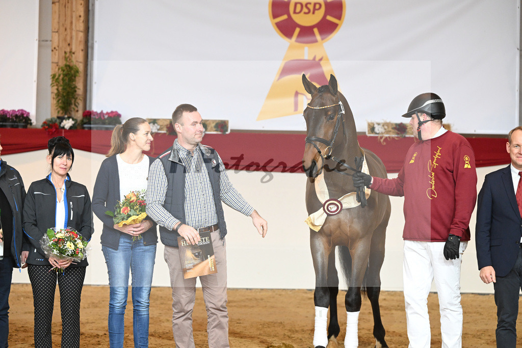 Kat-Nr. 32 Tangelo v d Zuuthoeve_Schlamminger GmbH_1231863 | hf-fotografie - Realisiert mit Pictrs.com