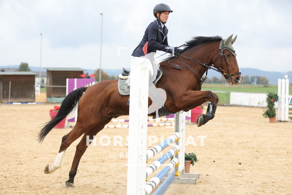 0P6A2478 | Willkommen bei Brunnmayr - Design & Fotografie – Ihrem Spezialisten für Reitturniere und Pferdeveranstaltungen in Oberösterreich, Salzburg und Bayern! Seit über 17 Jahren sind wir leidenschaftlich dabei.