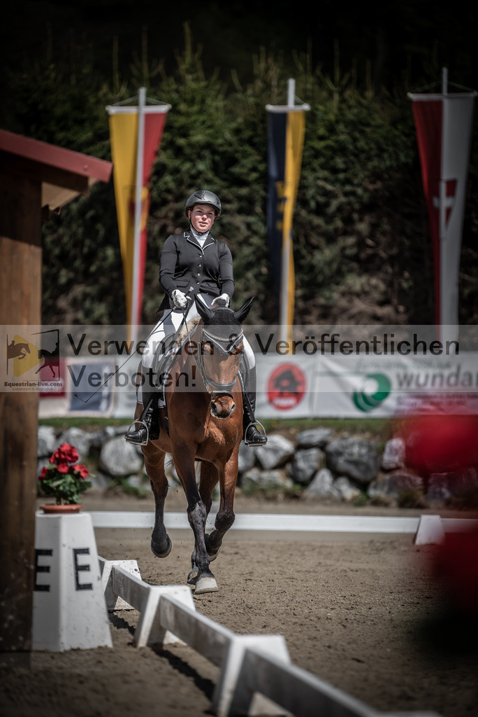 DSC_0529 | equestrian-live-com