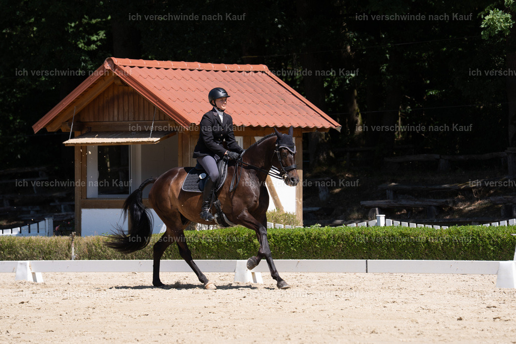 WS_DR_110_sinafilmart_IN09328 | working equitationturnier fotograf videograf stoibphotography marixx film working equitation deutschland reitsport turnierfotografie eventfotografie equestrian events