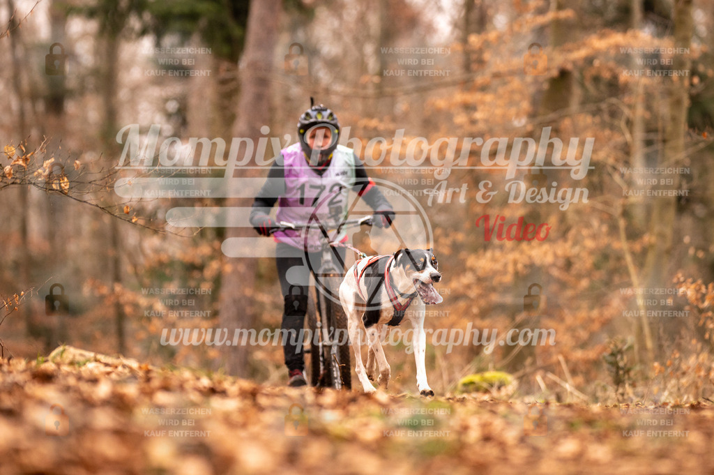 AKM_ST_2023_SAM_Scooter-44 | PayLife