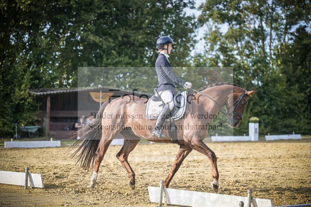 DOS_1241 | Entdecke hochwertige Reitturnierfotos von Foto Oger. Professionell, emotional und authentisch – jetzt Lieblingsmomente im Shop bestellen.Deutschlandweite Turnierfotografie. - Realisiert mit Pictrs.com