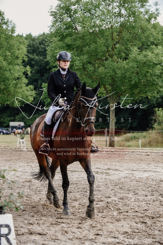 DSC_0773 | Pferde- und Turnierfotografie in Westsachsen. Pferdeportraits, Auftragszeichnungen und intuitive Kunst.