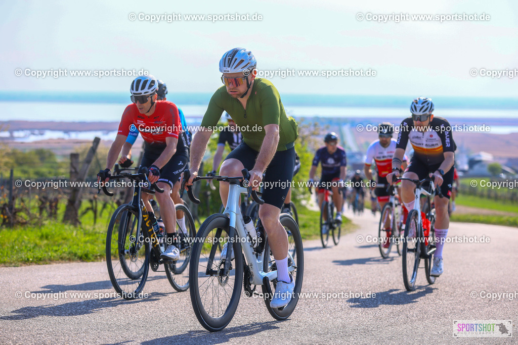 TRA_0734 | Neusiedlersee Radmarathon 2026@sportshot_your_pictrs #yourpictures#roadtowm2029 #nrm #neusiedlerseeradmarathon #neusiedlersee #neusiedlerseetourismus #burgenland #mörbisch #nrm26 #burgenlandtourismus #voglundco #poweredbyburgenlandtourismus #radsport #rad #marathon #ucigranfondo #visitburgenland #ucigranfondoworldseries