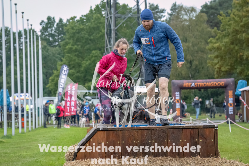 1213--3 | kk-dogfotos