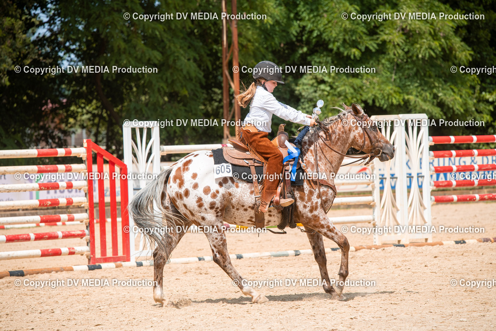 ZS2_8234 | dv-media-shop - Realisiert mit Pictrs.com