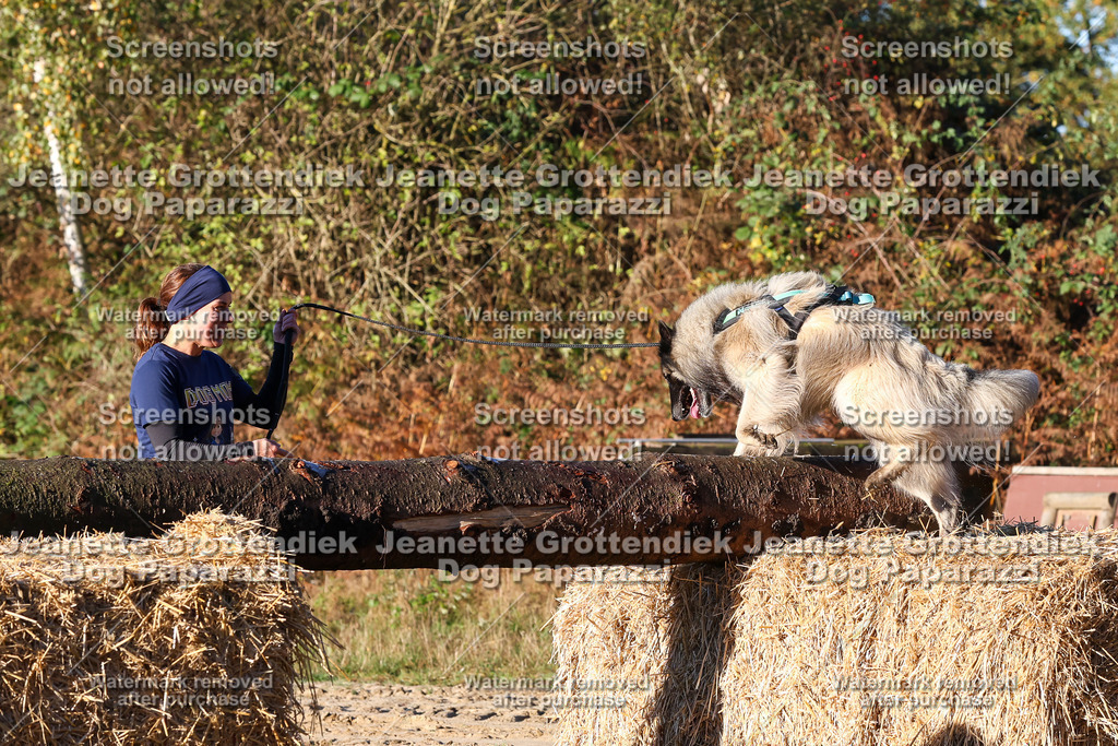 Dog Paparazzi - Strongdog 10-25-1083 | Dog Paparazzi Jeanette Grottendiek Fotografie & Videografie - Realisiert mit Pictrs.com