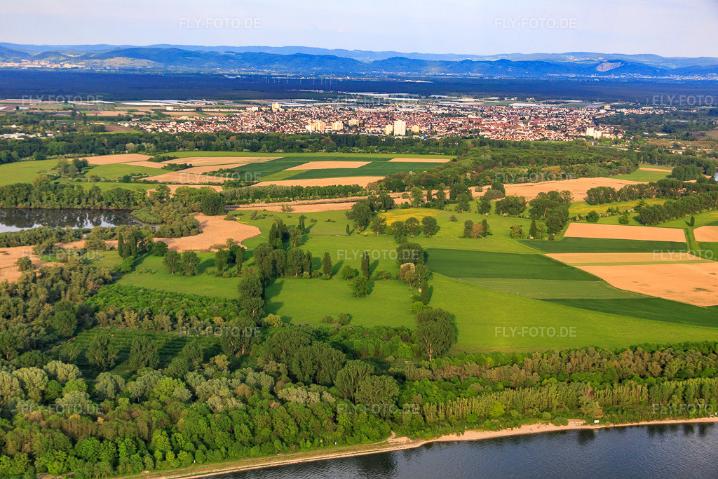Luftbild: Naturschutzgebiet Biedensand am Lampertheimer Althrein in Lampertheim im Bundesland Hessen in Deutschland. Foto: IMG_088191.jpg vom 09.05.2016 durch Werner Riehm/FLY-FOTO.de