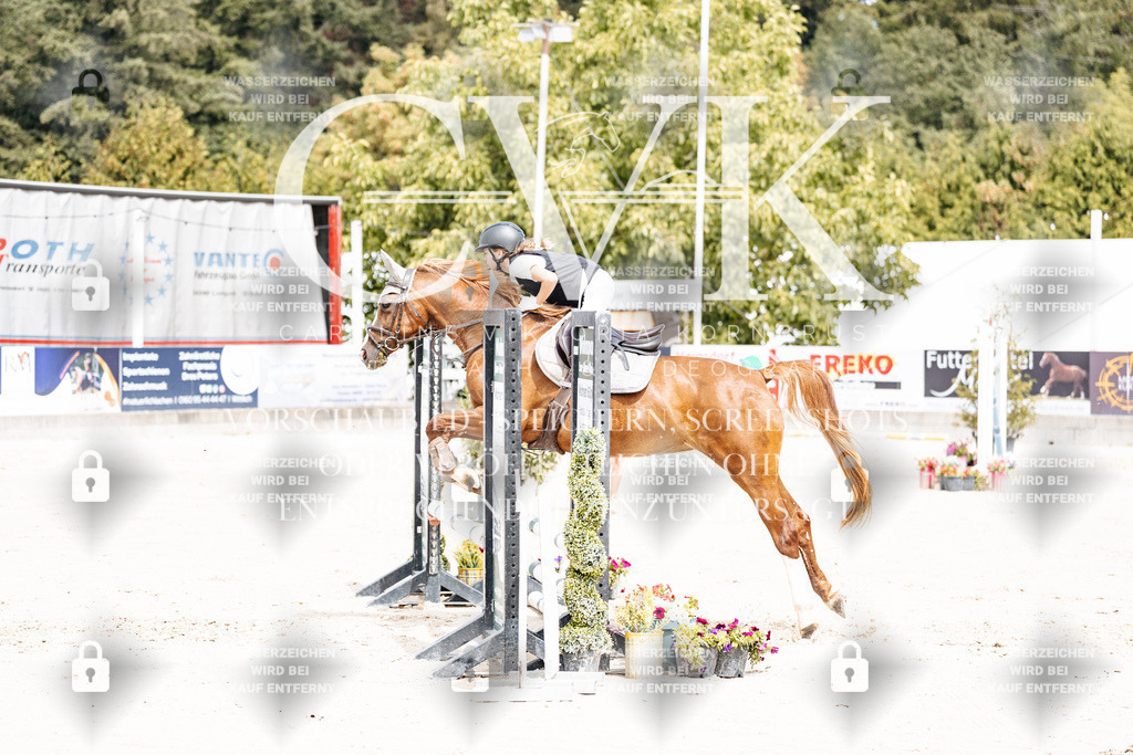 CK906546 | Turnierfotografie Pferdefotografie Trier Rheinland-Pfalz Pferdesport Reitsport Tierfotografie Sportfotografie Pferdevideo Pferdevideografie Equestrianvideography equestrianphotography  - Realisiert mit Pictrs.com