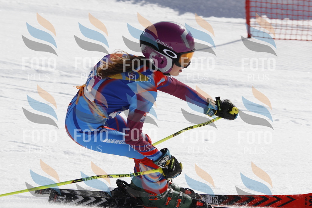 _U3G0079 | holidayphoto