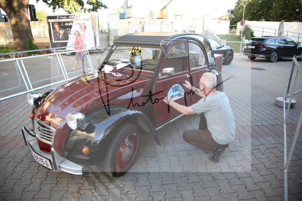 IMG_4325 | Gerhard Witt