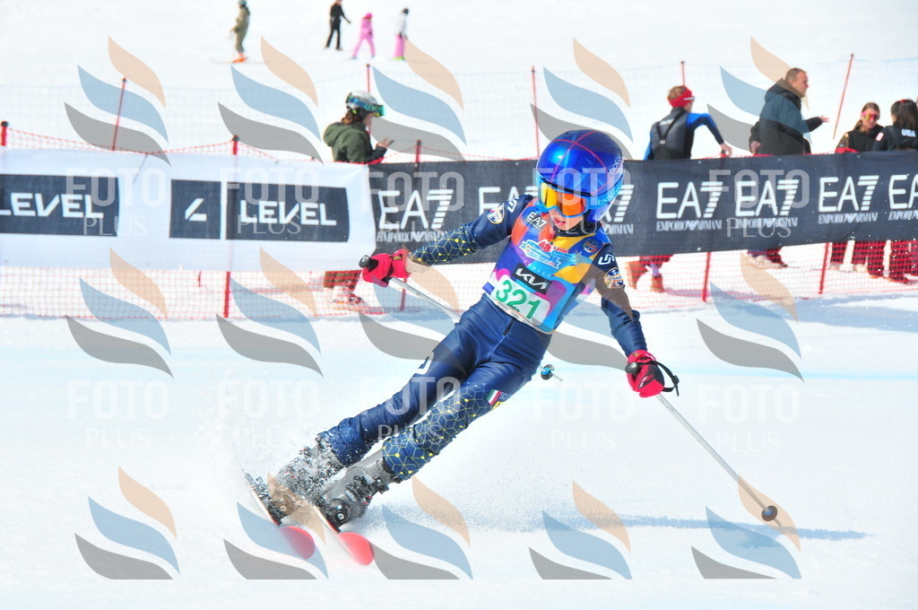 DSC_2955 | holidayphoto