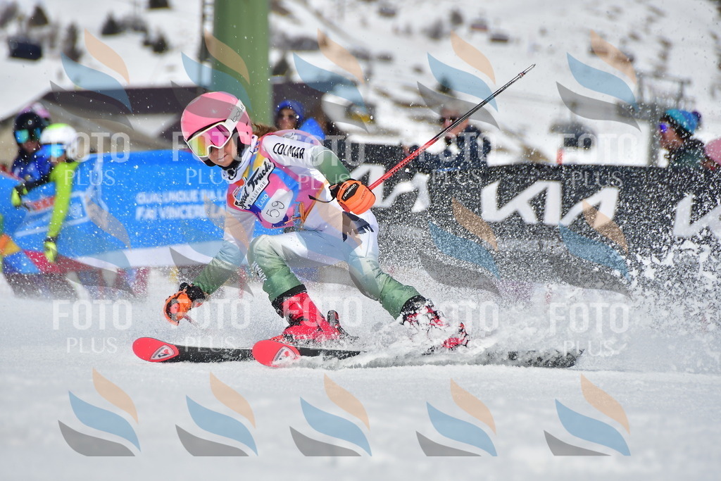 _DSC7131 | holidayphoto