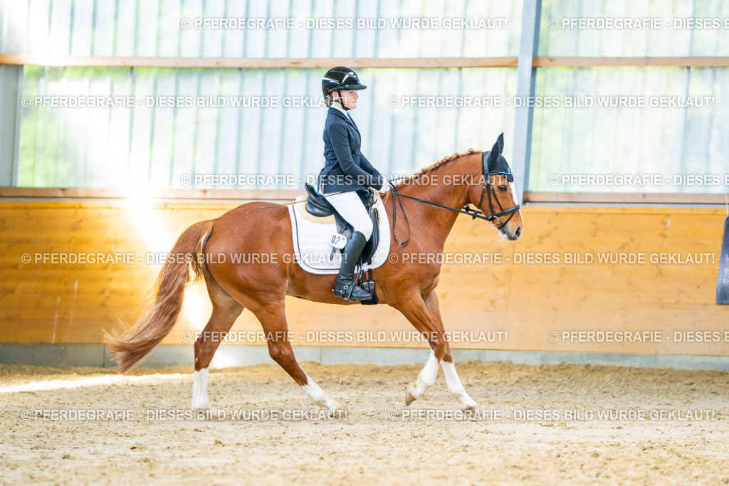 DSC06815 | Pferdegrafie