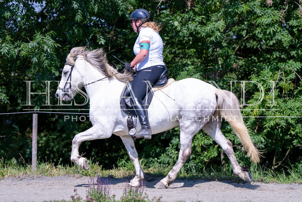 KAI05589 | Ihr sucht einen Fotografen für eure nächste OSI? Ich begleite auch euer Turnier für Islandpferde fotografisch.  - Realisiert mit Pictrs.com