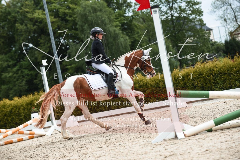 20230518_JK-Röhrsdorf-10-661 | Pferde- und Turnierfotografie in Westsachsen. Pferdeportraits, Auftragszeichnungen und intuitive Kunst.
