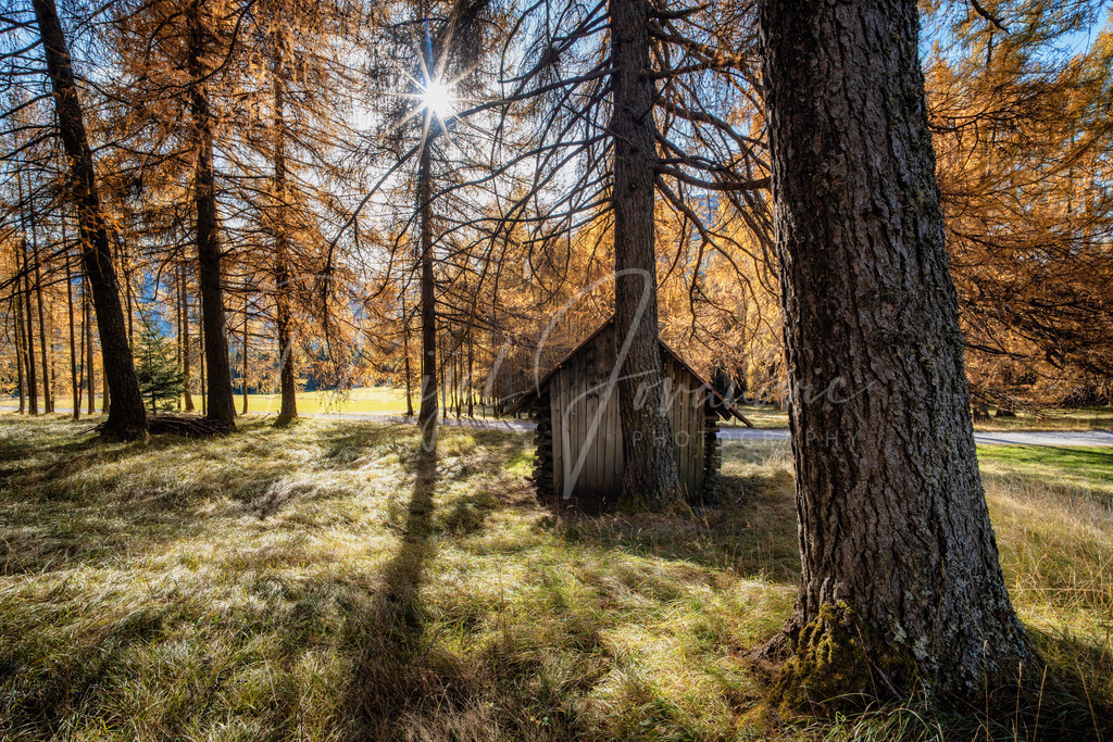 Mieming | Herbst am Mieminger Plateau