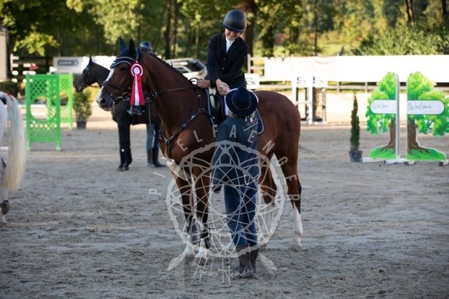 2B4A4034 | pixelfaenger - Realisiert mit Pictrs.com