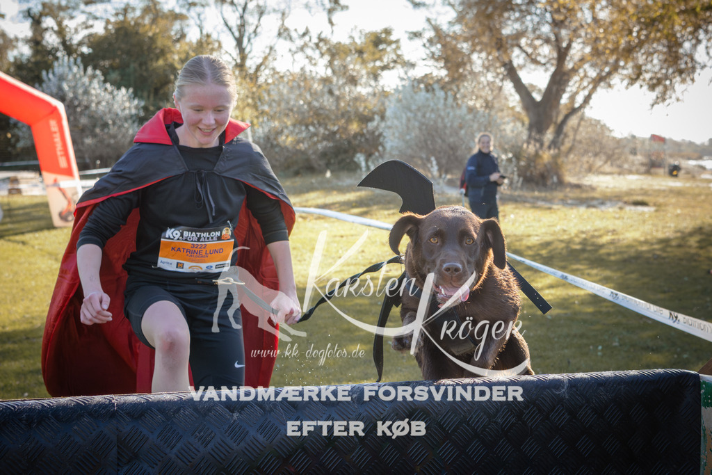 1210_ZZ94773 | kk-dogfotos