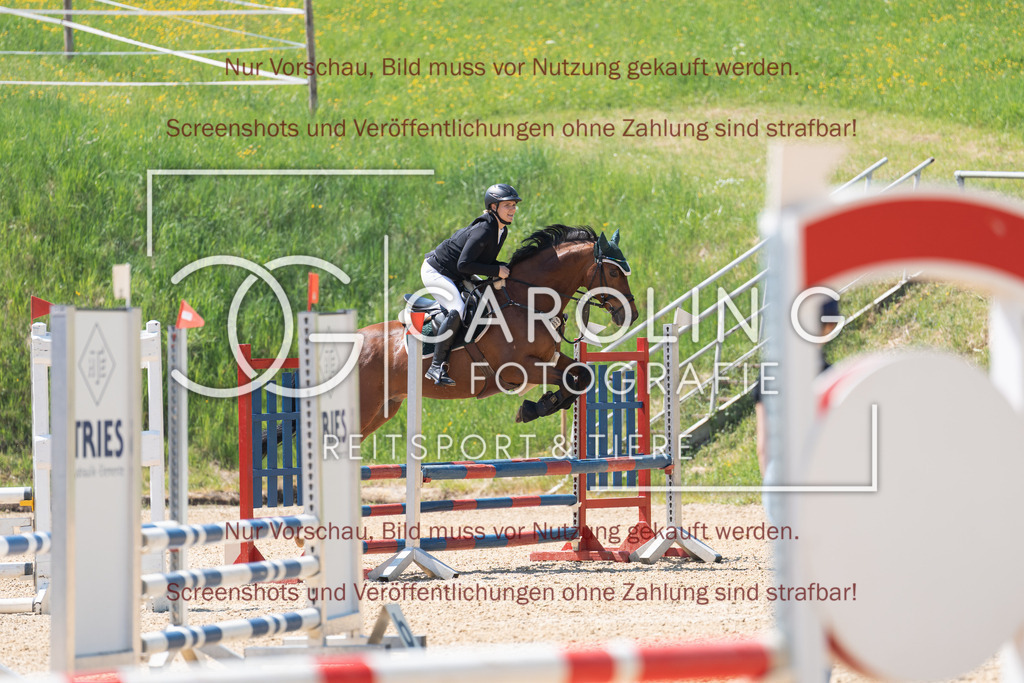 DSC04337 | Springturnier_Ehingen_Mai_2026, Selin_Fischer, For_Fun_32
