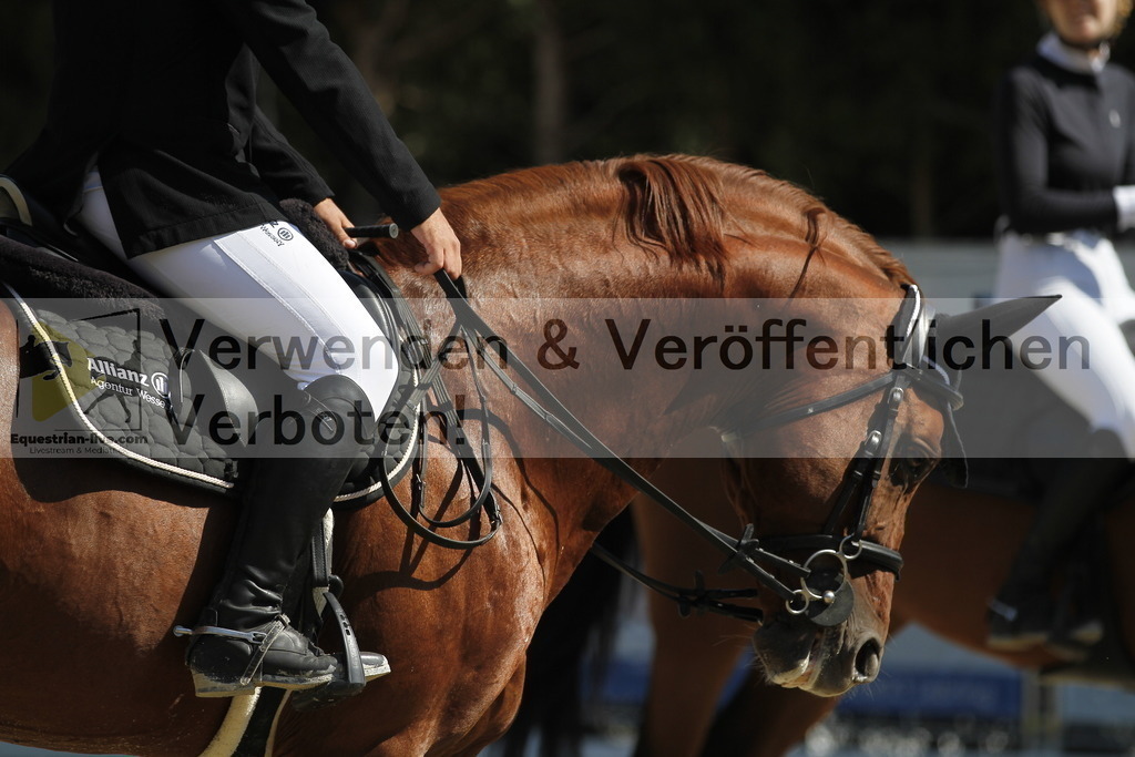 _MG_8160 | equestrian-live-com