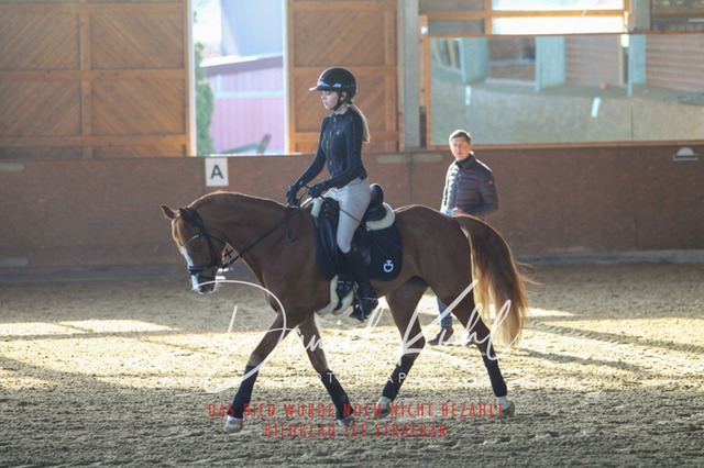 DKP42149 | Turniersportfotografie; Pferdefotografie; Dressurfotografie