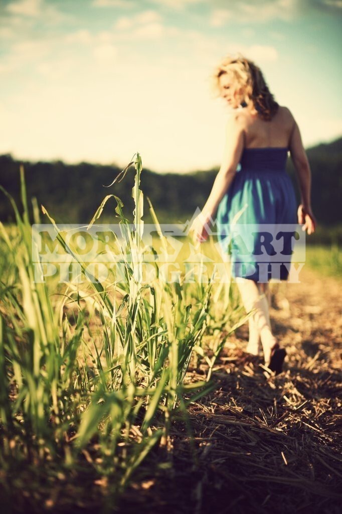 3-12-683-1025 | morakartphoto