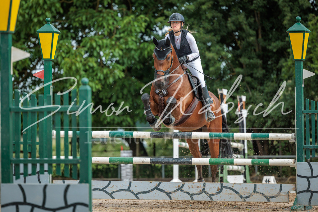 20260530-_3LI2562 | Tierfotografie Pferde, Hunde, Katzen, Haustiere.
Turnierfotografie Reitturniere, Reiten, Springreiten, Dressur in Hanau, dem Main-Kinzig-Kreis und dem Rhein-Main- Gebiet um Frankfurt
