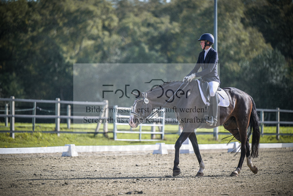 DOS_0658 | Entdecke hochwertige Reitturnierfotos von Foto Oger. Professionell, emotional und authentisch – jetzt Lieblingsmomente im Shop bestellen.Deutschlandweite Turnierfotografie. - Realisiert mit Pictrs.com