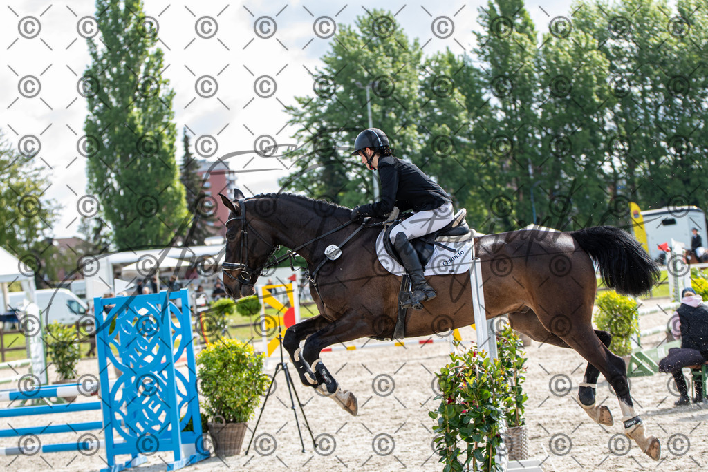 KPT_4808 | andre_photographic