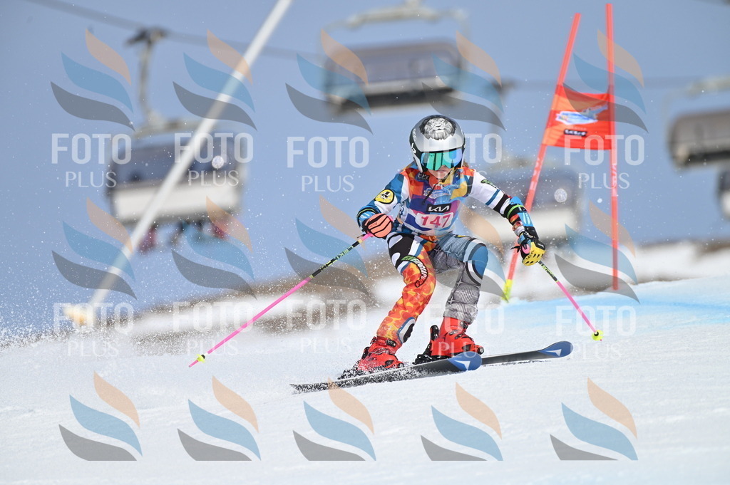 BGV_0271 | holidayphoto