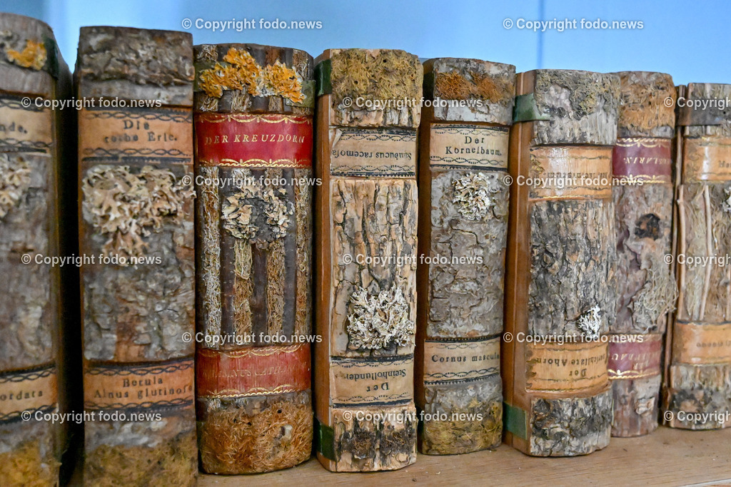 Stift Lambach_ 25.09.2023-28 | 25.09.2023, Lambach, AUT, Stift Lambach, im Bild Xylothek (Holzsammlung)