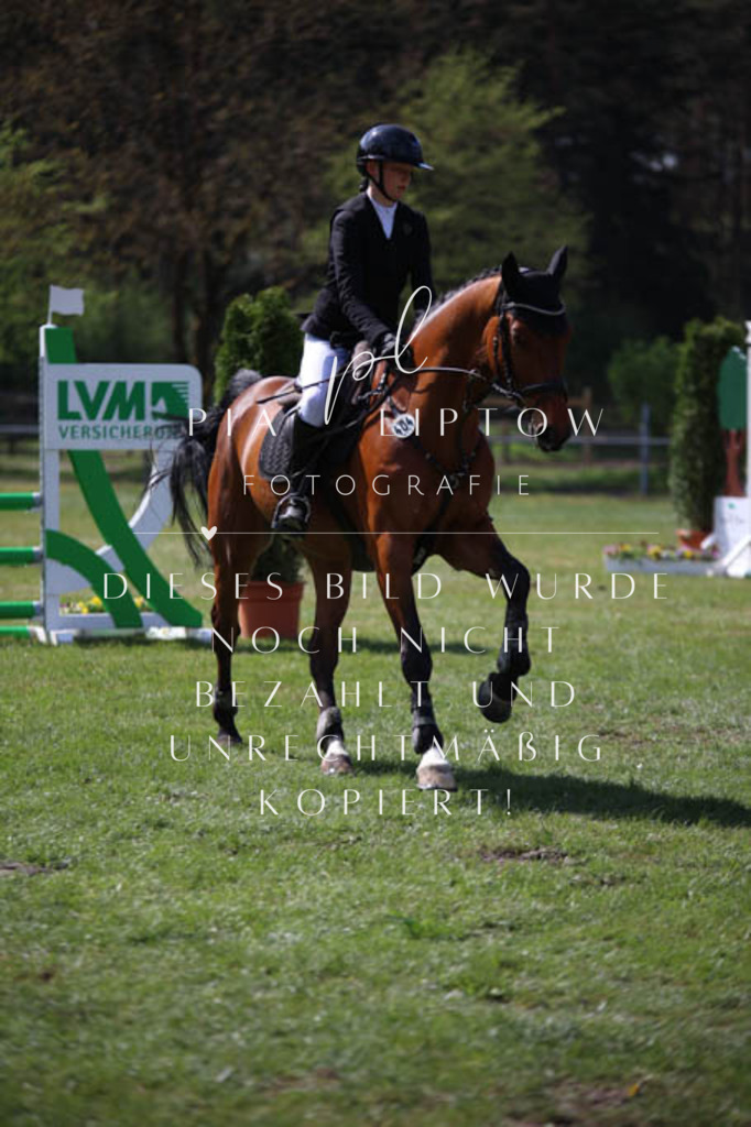 IMGT5512 | pl-fotografie