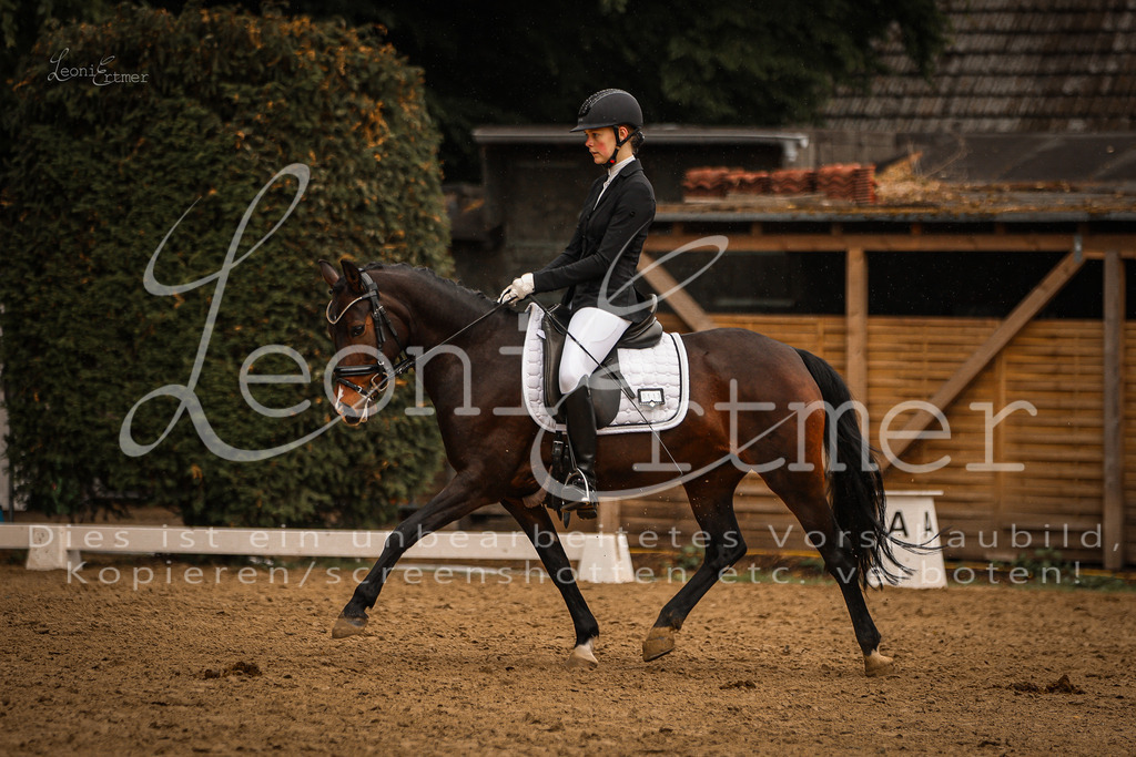 DoDrA00452 | Leoni Ertmer Photography - Realisiert mit Pictrs.com