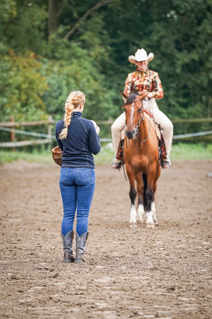 DSC02080 | Pferdegrafie